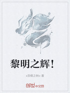 黎明之辉!在线阅读