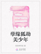 孽缘狐劫美少年在线阅读