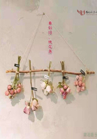 春如旧桃花落在线阅读