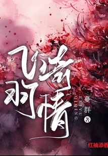 飛羽奇情