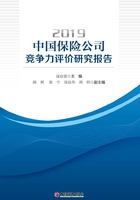 2019中国保险公司竞争力评价研究报告