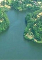 廢到江湖之巔在線閱讀