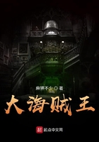 大海贼王在线阅读