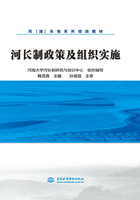 河长制政策及组织实施在线阅读