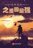 哈利波特之重回最強(qiáng)在線(xiàn)閱讀