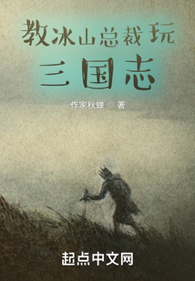 教冰山總裁玩三國志