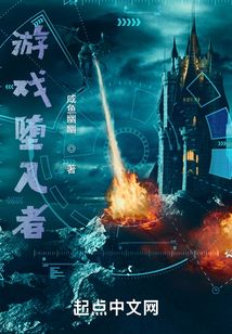 游戏堕入者