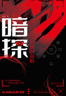 暗探:失落的真相