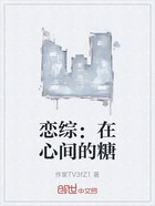 恋综:在心间的糖在线阅读