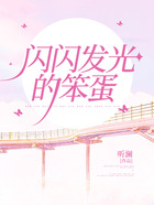 闪闪发光的笨蛋在线阅读