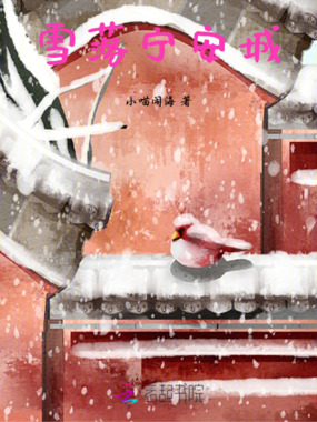雪落宁安在线阅读