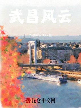 武昌风云在线阅读