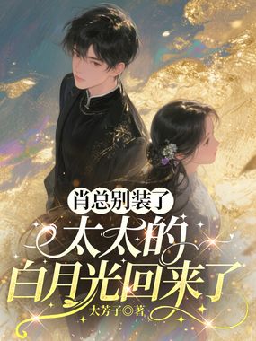 肖总别装了,太太的白月光回来了在线阅读