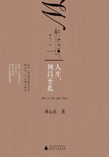 人生，何以至此