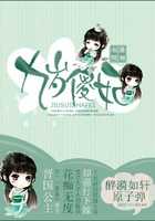 九岁傻妃在线阅读