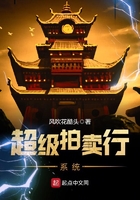 超级拍卖行系统在线阅读