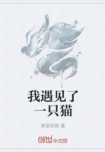 我遇見了一只貓