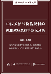 中國天然氣價格規制的減排效應及經濟效應分析（谷臻小簡·AI導讀版）