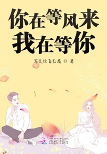 你在等風來我在等你