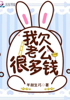 我欠老公很多錢在線閱讀