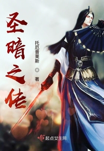 圣暗之戰