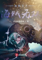 海贼王之海贼无双在线阅读