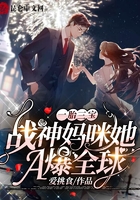 一胎三宝:战神妈咪她A爆全球