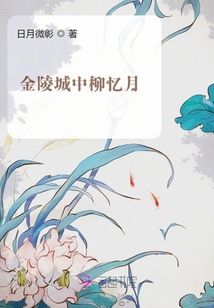 金陵城中柳憶月