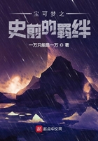 宝可梦之史前的羁绊在线阅读