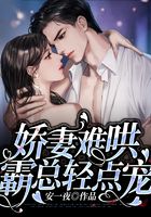 娇妻难哄,霸总轻点宠在线阅读