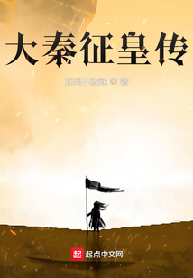 大秦征皇傳