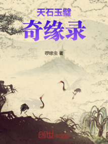 天石玉璧奇缘录