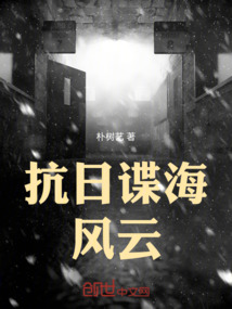抗日諜海風云