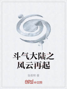 斗氣大陸之風云再起