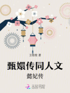 甄嬛传同人文:懿妃传在线阅读