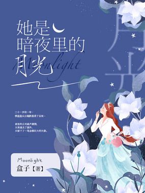 她是暗夜里的月光在线阅读