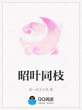 昭叶同枝在线阅读