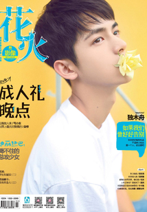 花火影像（2017年05期）