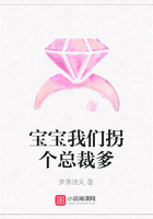 寶寶我們拐個總裁爹在線閱讀