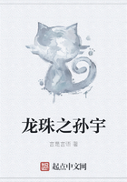 龙珠之孙宇在线阅读