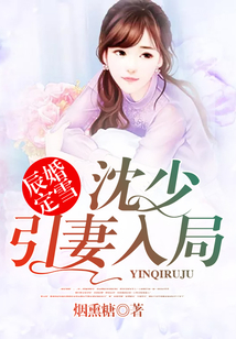 辰婚定雪:沈少引妻入局