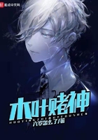 木葉賭神在線閱讀