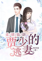 柔情陷阱：賈少的逃妻在線閱讀