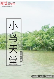 小鳥天堂