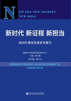 新时代　新征程　新担当：2019年湖南发展研究报告在线阅读