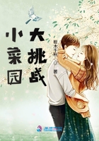 小菜園大挑戰(zhàn)在線閱讀