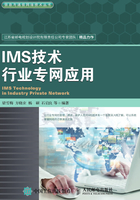 IMS技术行业专网应用在线阅读