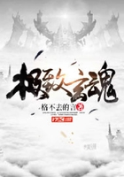 极致玄魂在线阅读