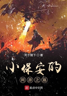 網游之保安傳說