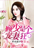 顾少是个宠妻狂